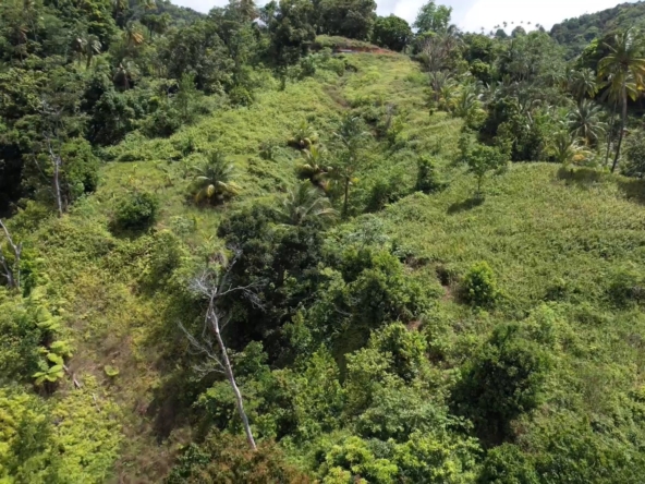 Agricultural land for sale in Marc - Castries