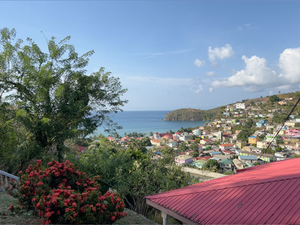 Canaries in Saint Lucia
