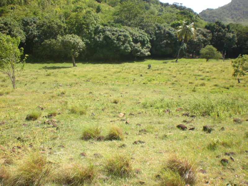 101 Acres of Land For Sale near Dauphin River - Gros Islet
