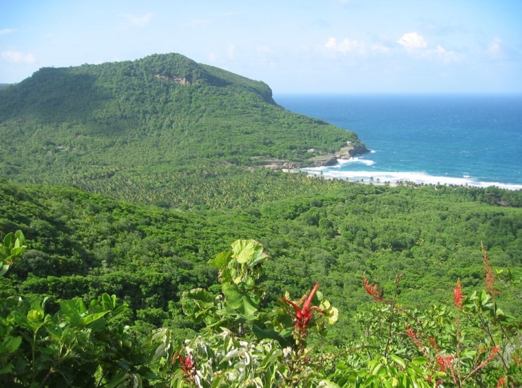 Ocean Views - Land For Sale in Dennery
