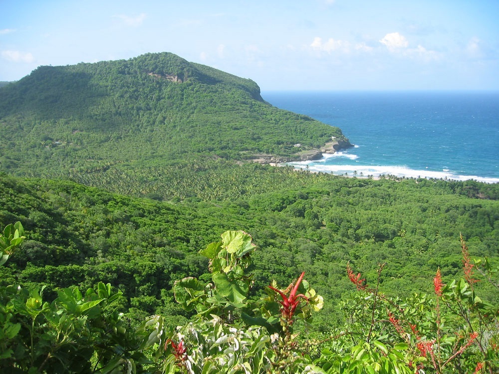 Ocean Views - Land For Sale in Dennery