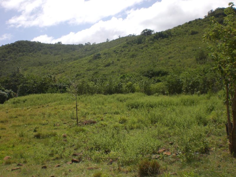 101 Acres of Land For Sale near Dauphin River - Saint Lucia