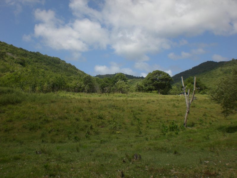 101 Acres of Land For Sale in Gros Islet