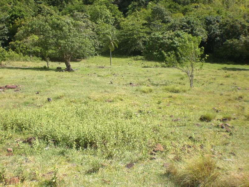101 Acres of Land For Sale in Dauphin - Gros Islet