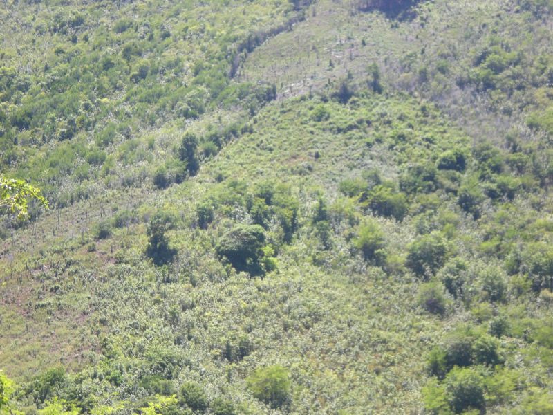 101 Acres of Land For Sale in Dauphin - Saint Lucia