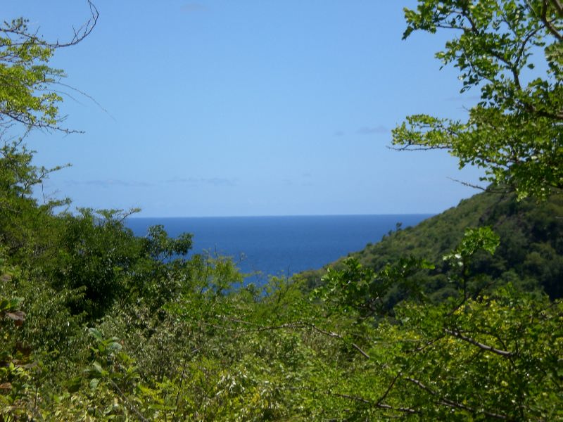101 Acres of Land with Ocean Views Sale in Dauphin - Saint Lucia