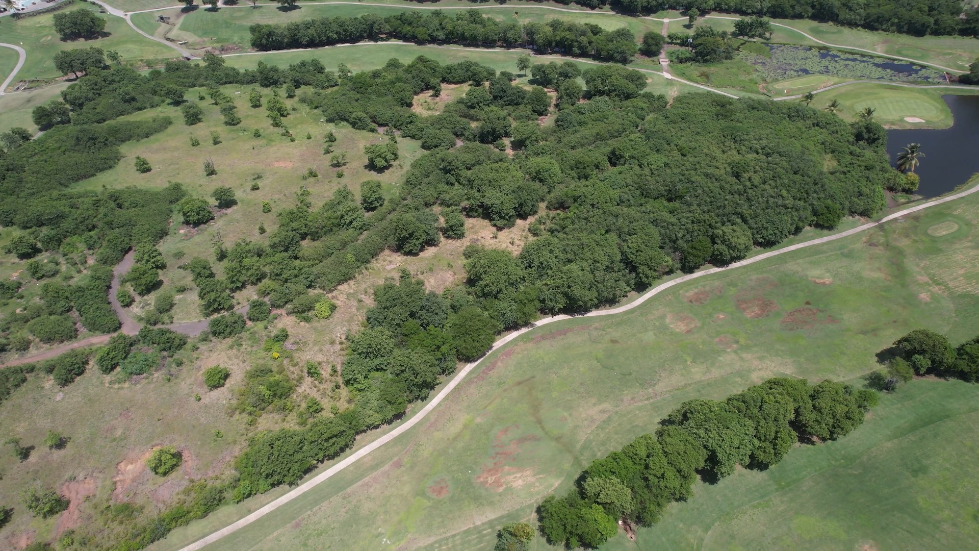 13 Acres of Land for Sale in Gros Islet Saint Lucia 13 Acres of Land for Sale in Gros Islet Saint Lucia