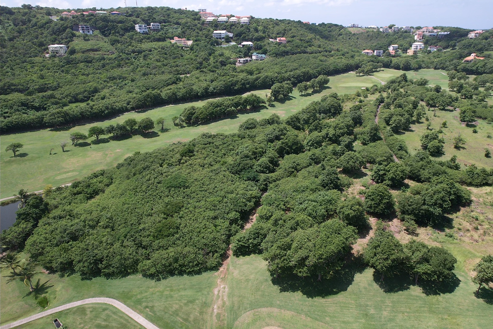 Investment Opportunity in Cap Estate Investment Opportunity in Cap Estate