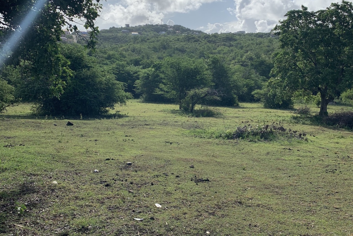 Beautiful Land for Sale in Bellvue