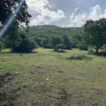Beautiful Land for Sale in Bellvue