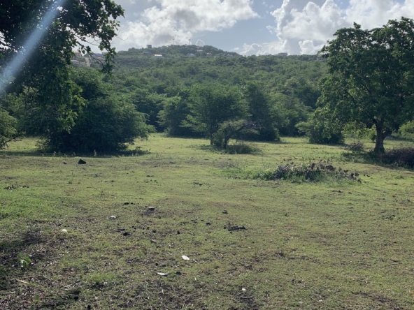Beautiful Land for Sale in Bellvue