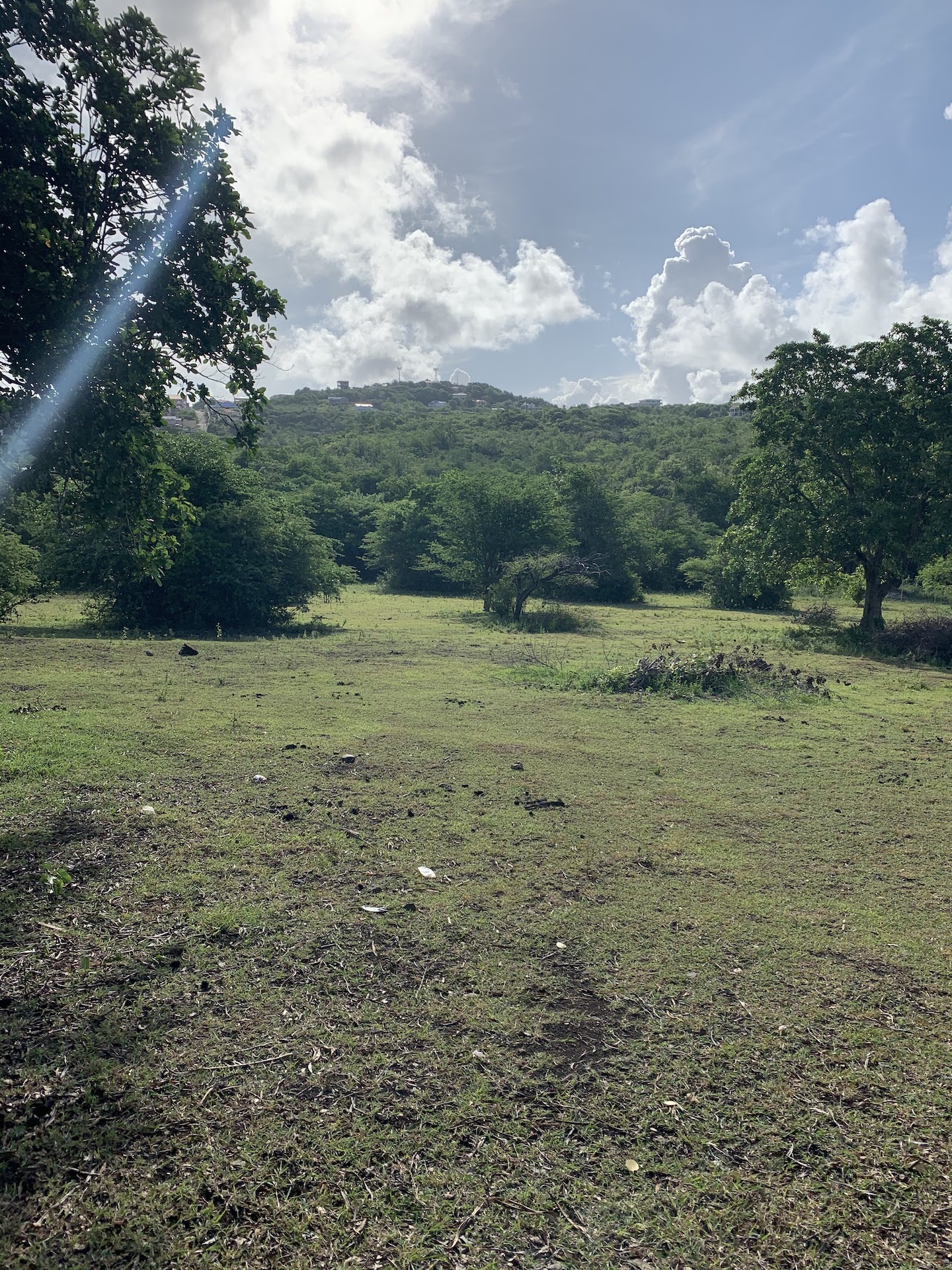 Beautiful Land for Sale in Bellvue