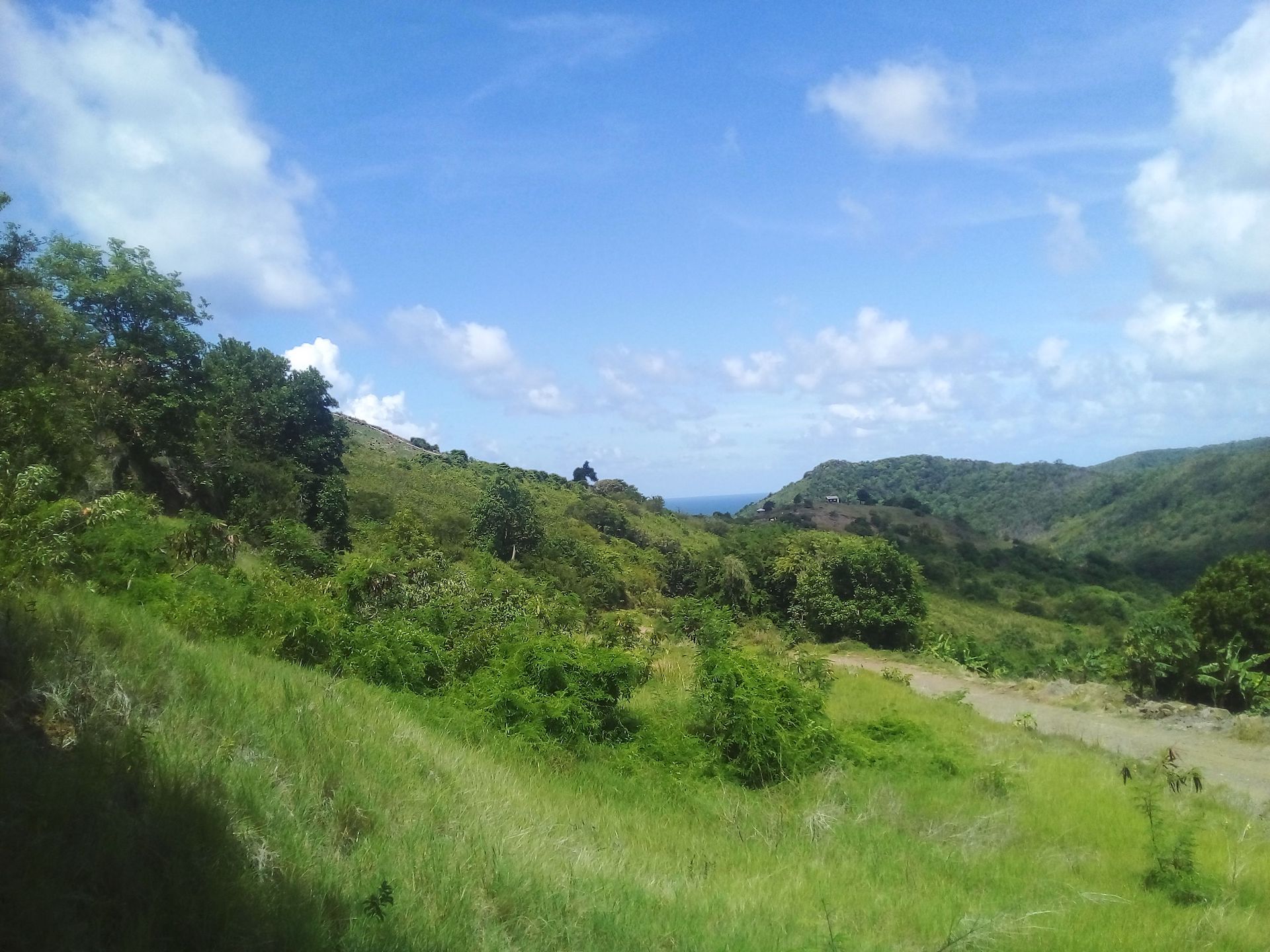 70 Acres of Land for Sale in Dauphin 2