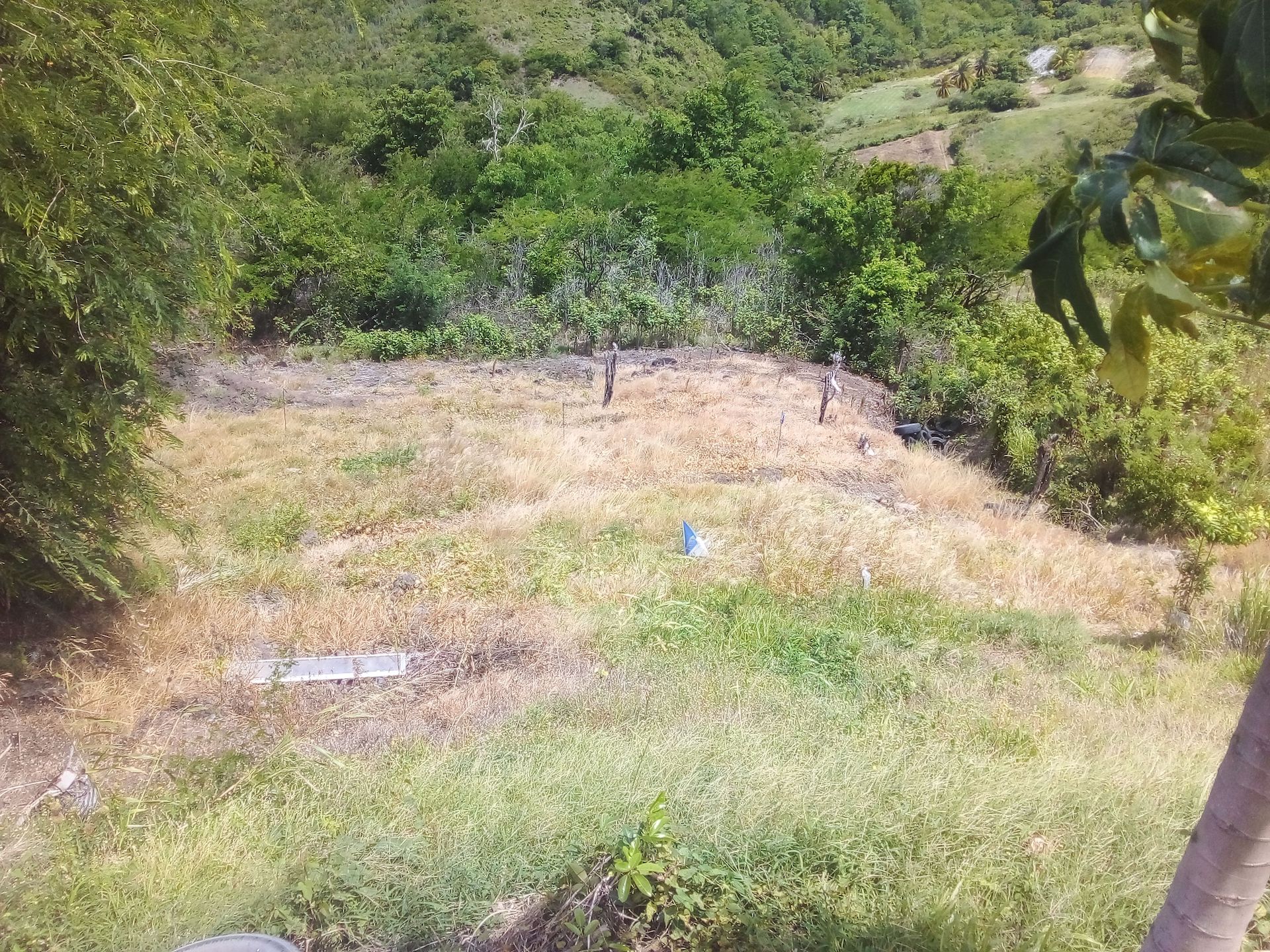 70 Acres of Land for Sale in Dauphin 4