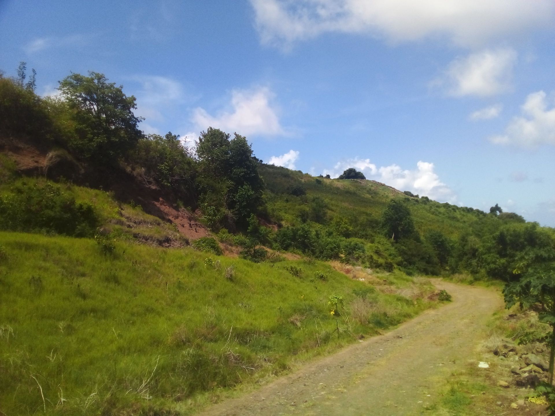 70 Acres of Land for Sale in Dauphin