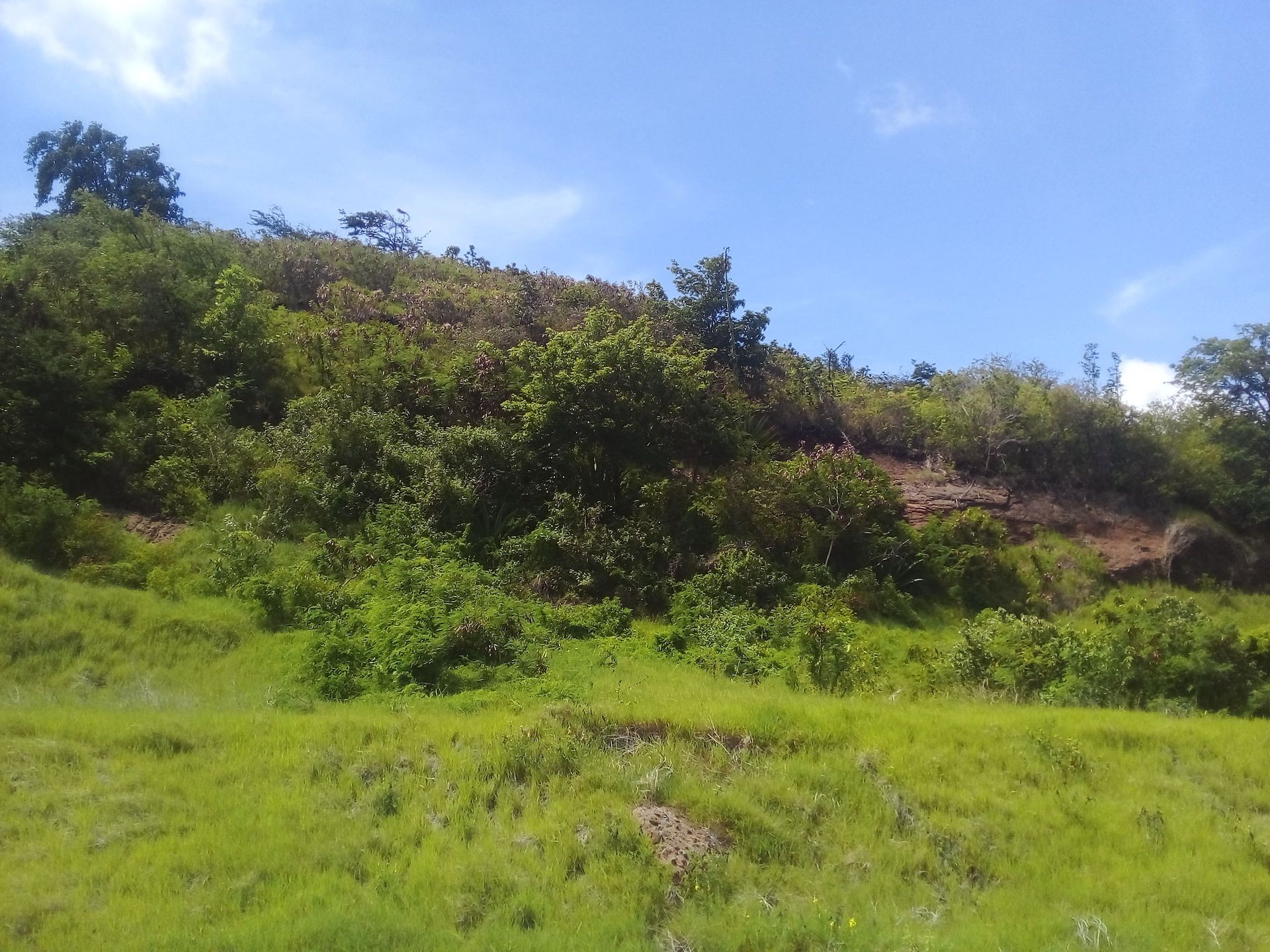 70 Acres of Land for Sale in Dauphin 3