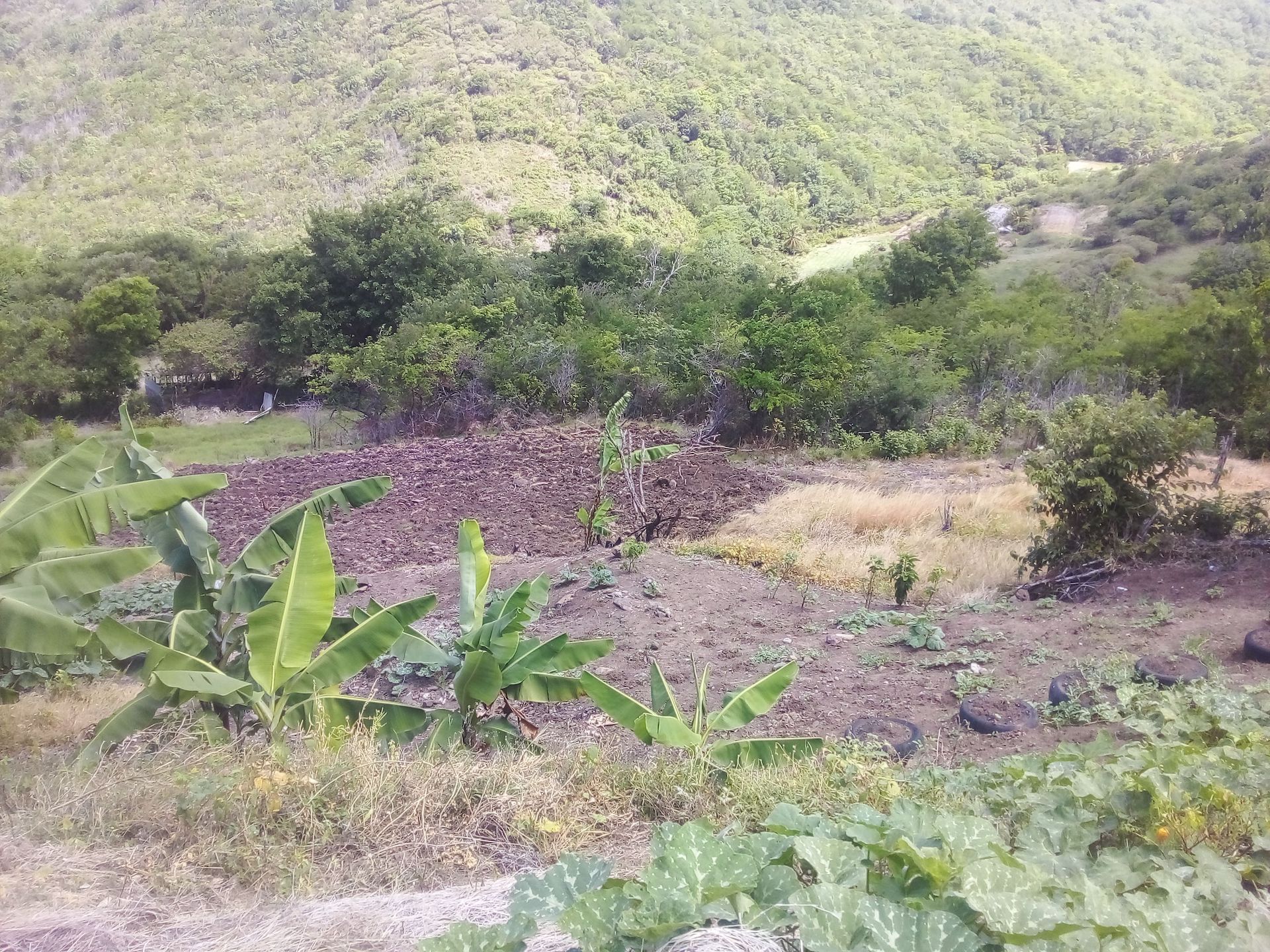 70 Acres of Land for Sale in Dauphin 6