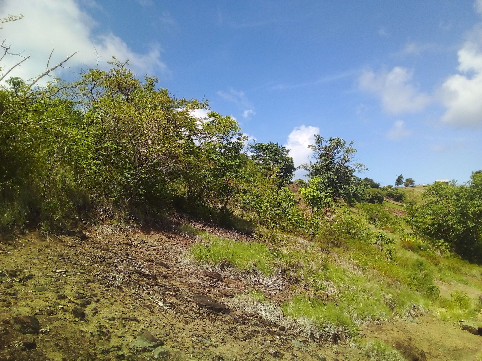 70 Acres of Land for Sale in Dauphin 8