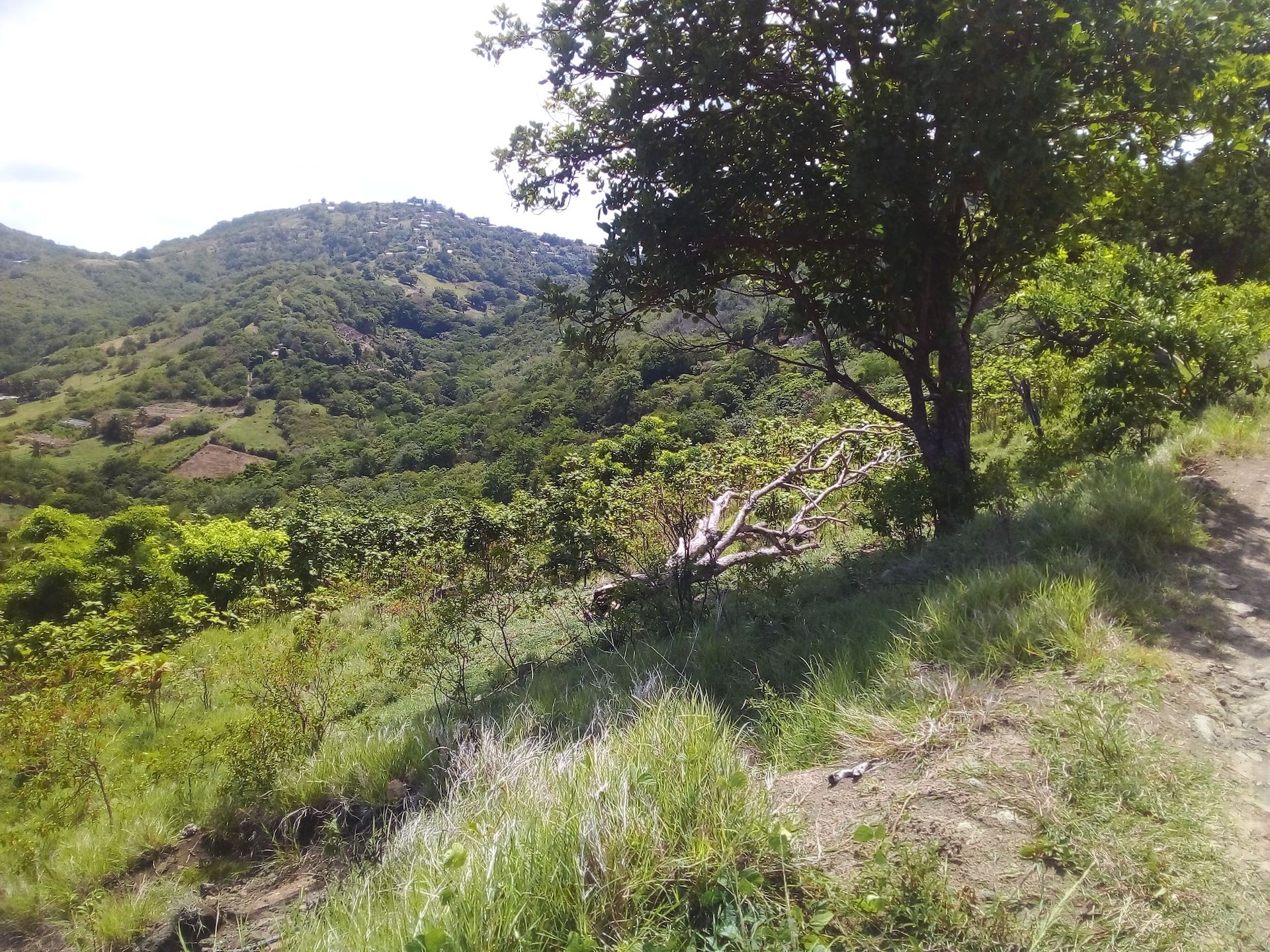 70 Acres of Land for Sale in Dauphin 10