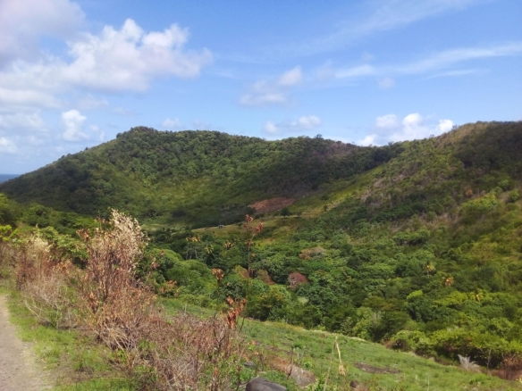 70 Acres of Land for Sale in Dauphin 9