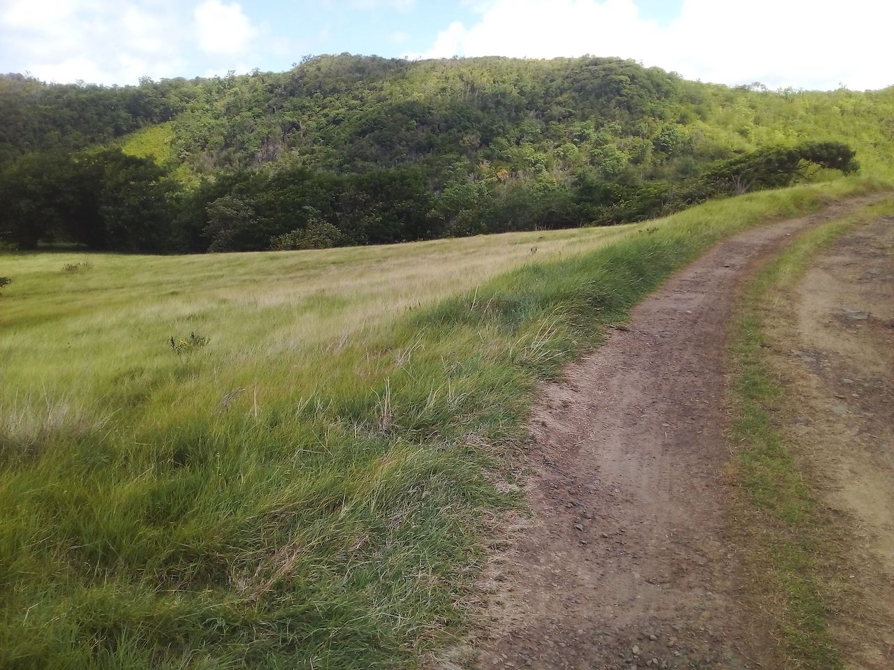 46 acres of land for sale in Gros Islet