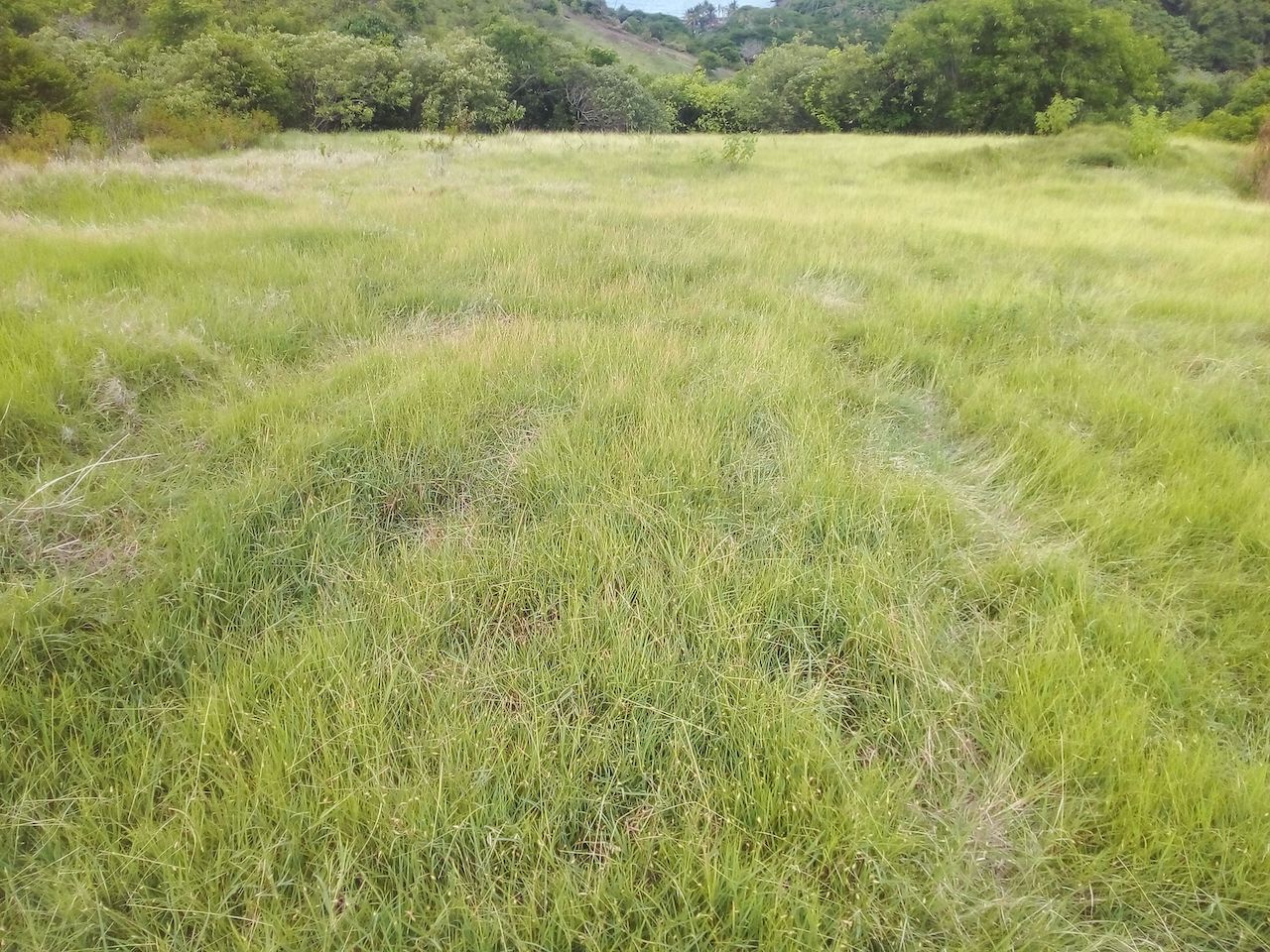 46 acres of land for sale in Dauphin