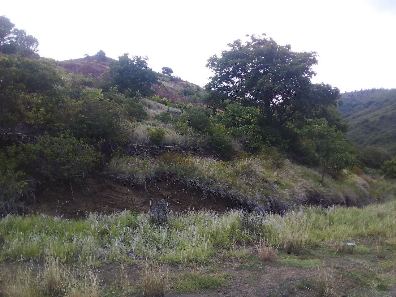 46 acres of land for sale in Gros Islet - Saint Lucia