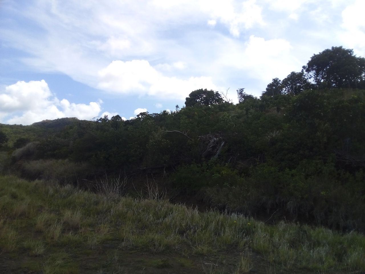 46 acres of land for sale near Dauphin River