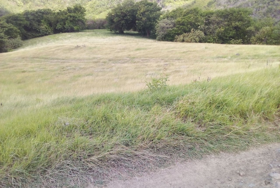 46 acres of land for sale near Dauphin River - Gros Islet