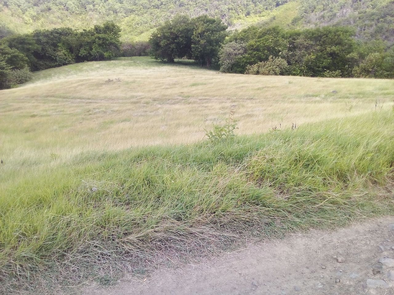 46 acres of land for sale near Dauphin River - Gros Islet