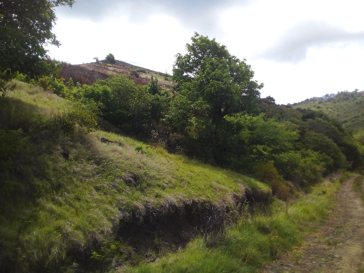 46 acres of land for sale near Dauphin River - Saint Lucia