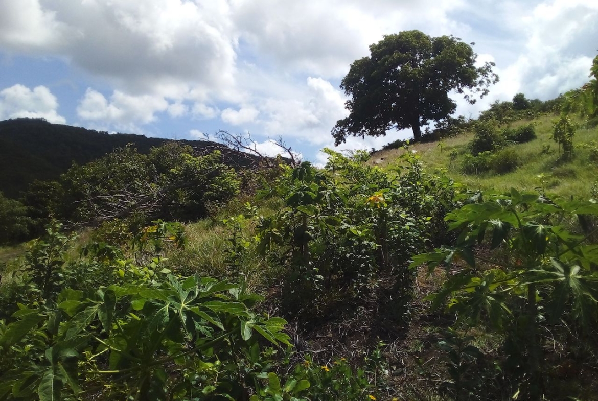 46 acres of property for sale near Dauphin River - Gros Islet