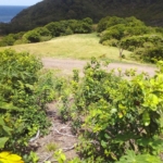 46 acres investment Land for sale near Dauphin River - Gros Islet