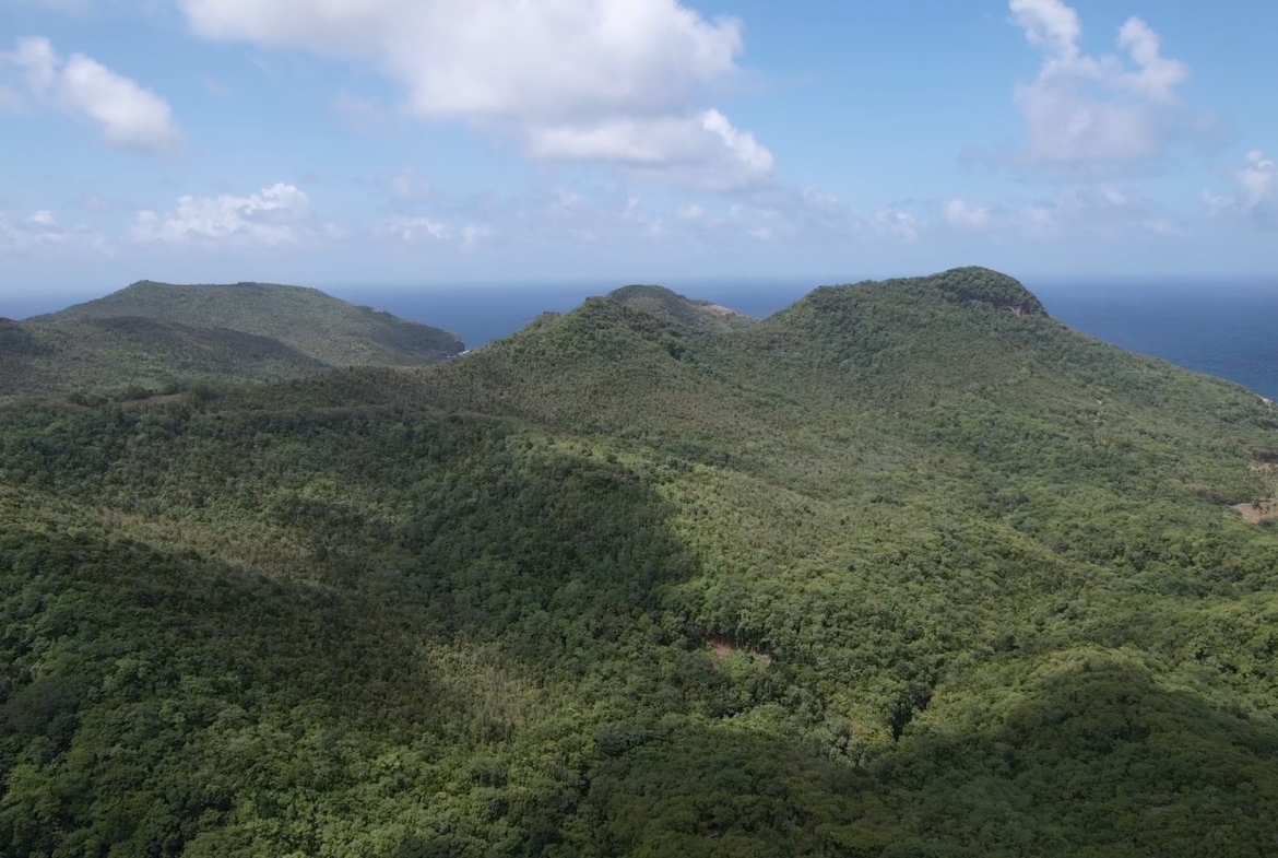 Ocean View Development Land for Sale in Dennery - Saint Lucia