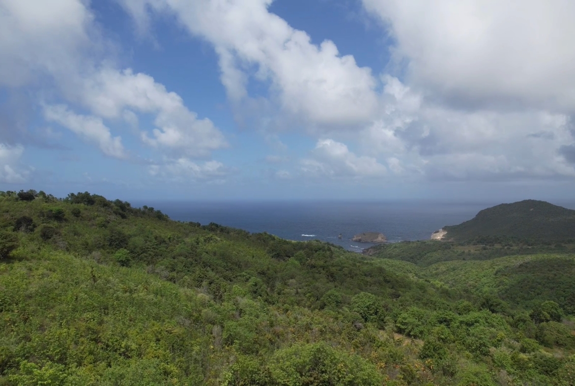 Ocean View Development Land for Sale in Dennery