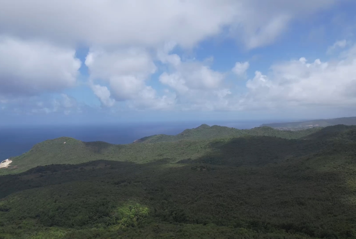Ocean View Land For Sale in Dennery