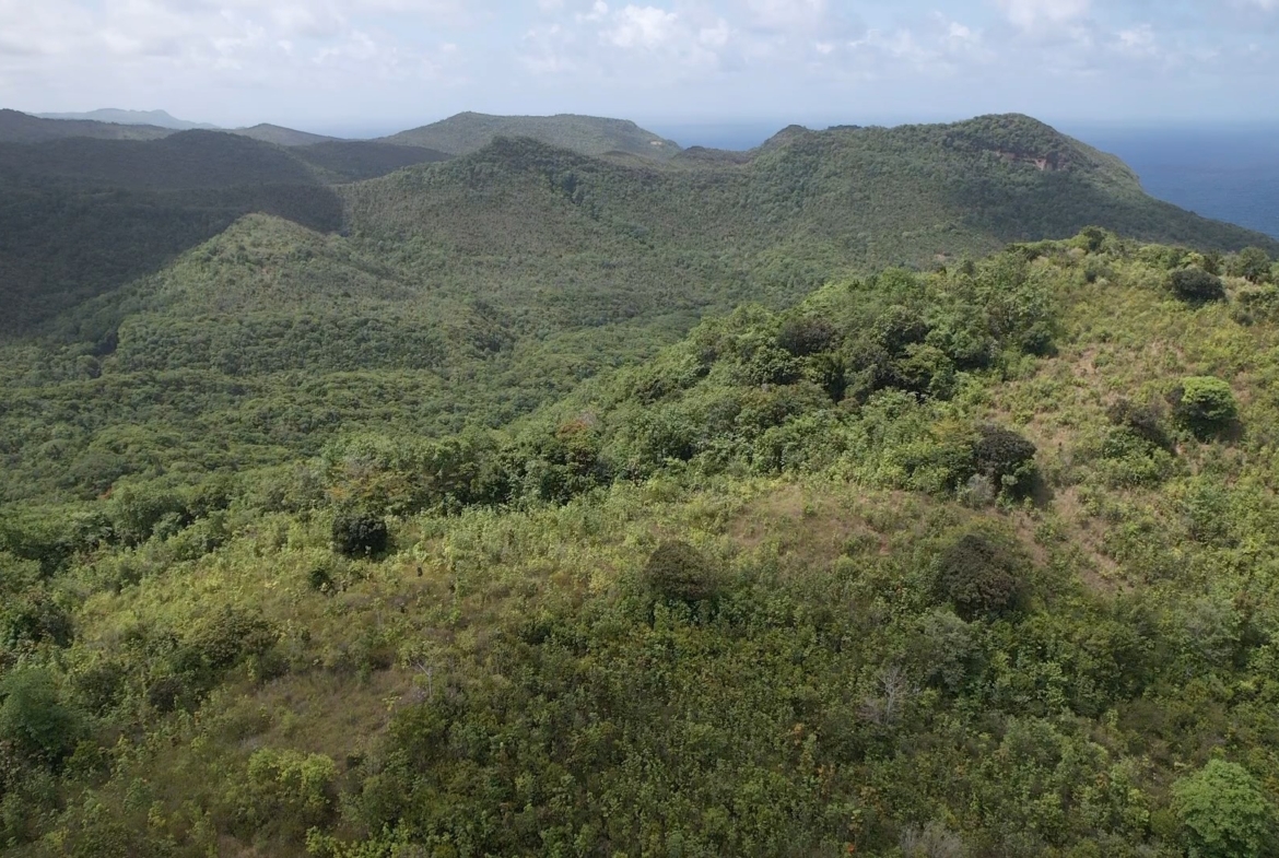 Ocean View Land For Sale in Dennery - Saint Lucia