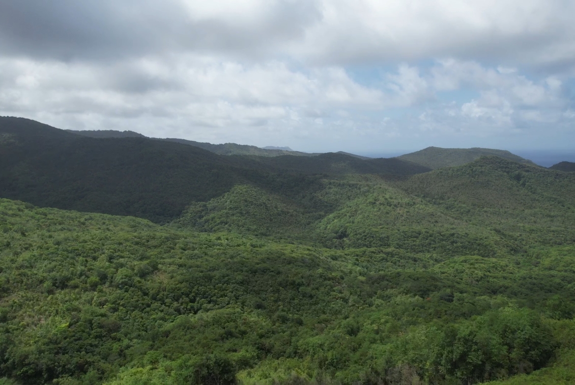 Development Land for Sale in Dennery - Saint Lucia