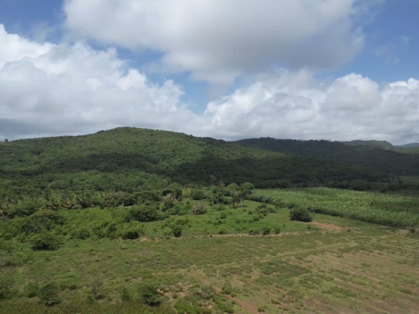 700 acres of Development Land for Sale in Dennery - Saint Lucia
