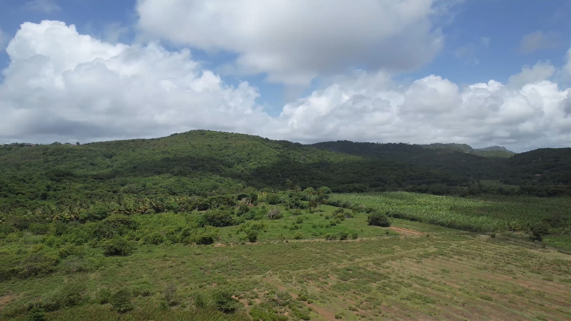 700 acres of Development Land for Sale in Dennery - Saint Lucia