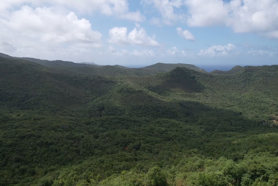 700 acres of Agricultural Land for Sale in Dennery