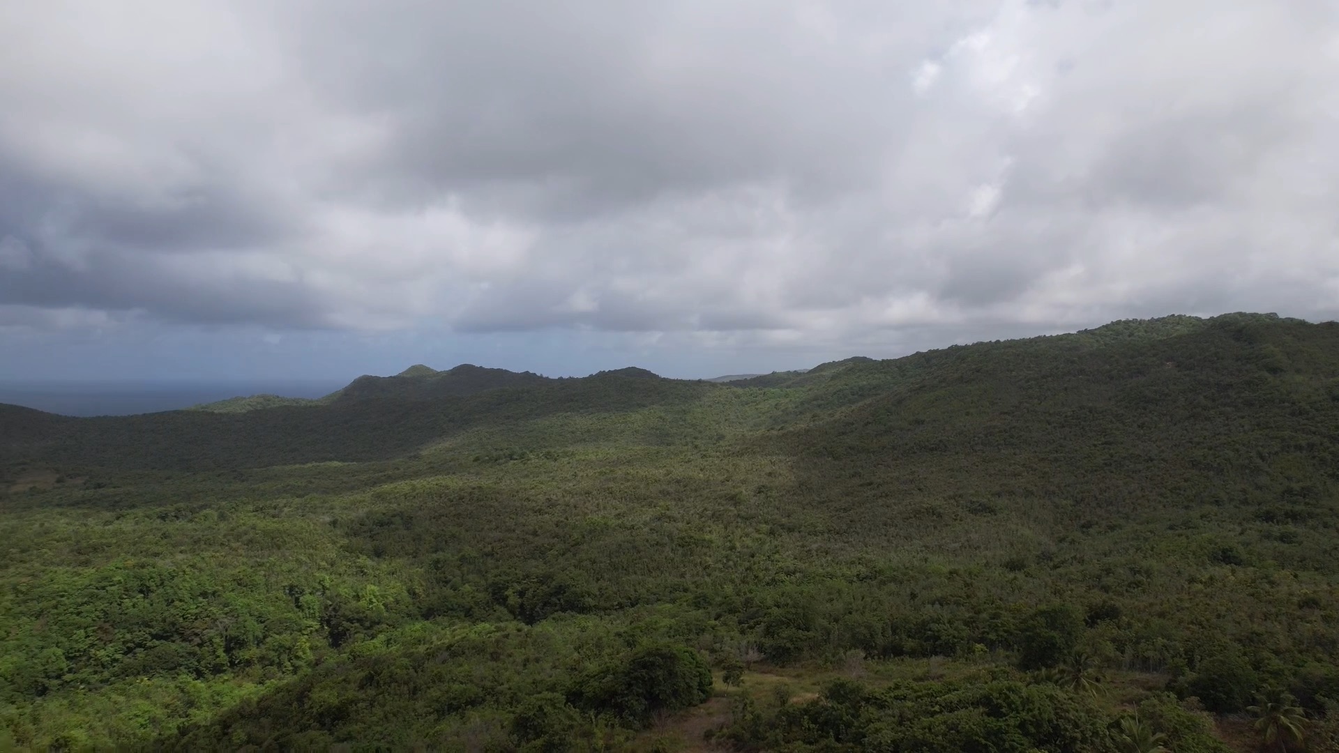 Agricultural Land for Sale in Dennery