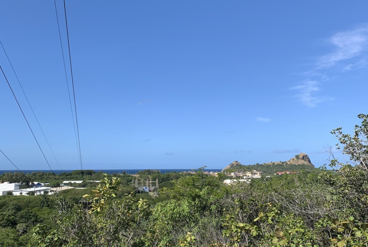 10 Acres of Investment Land with View for Sale in Bellvue