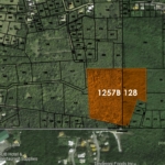 Satellite - 10 Acres of Land for Sale in Bellvue