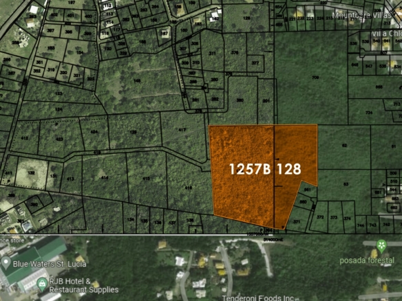 Satellite - 10 Acres of Land for Sale in Bellvue