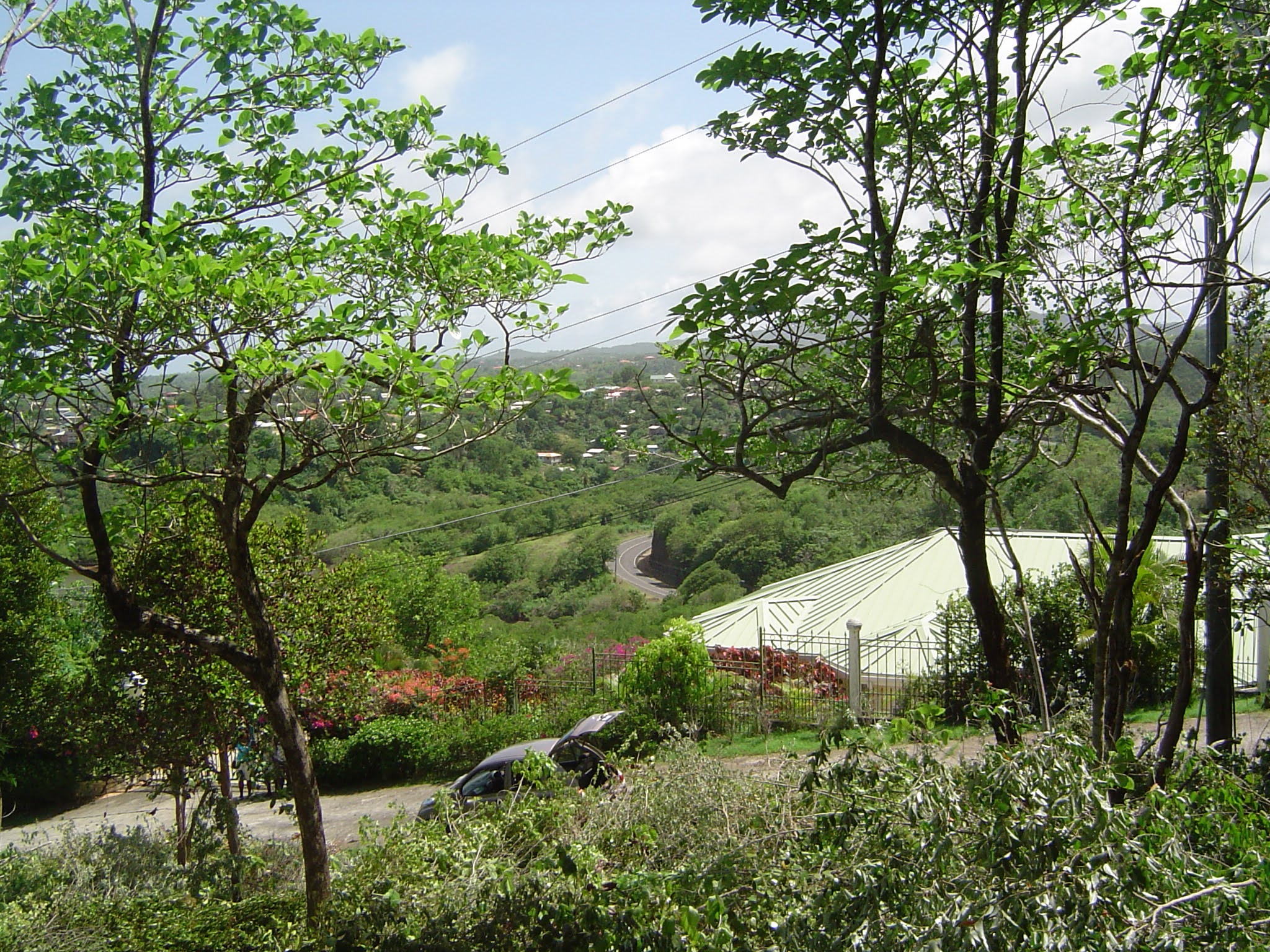 Land for Sale in Established Subdivision in Dennery 8