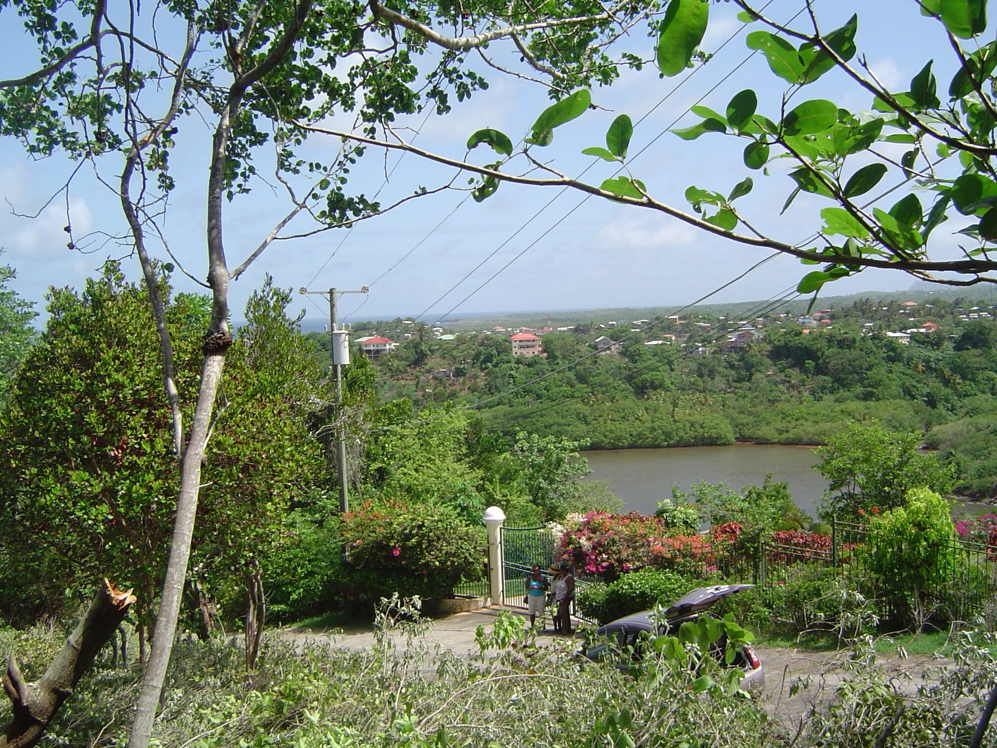 Land for Sale in Established Subdivision in Dennery 7