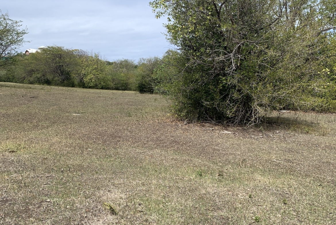 Land For Sale In Bellvue, Gros-Islet