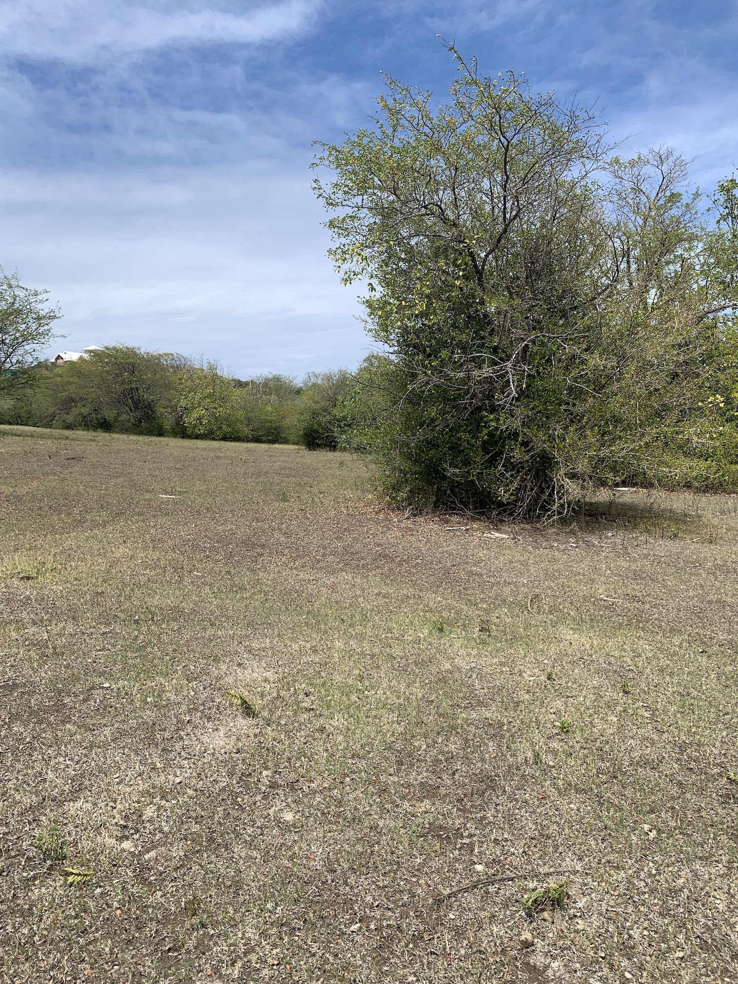 Land For Sale In Bellvue, Gros-Islet