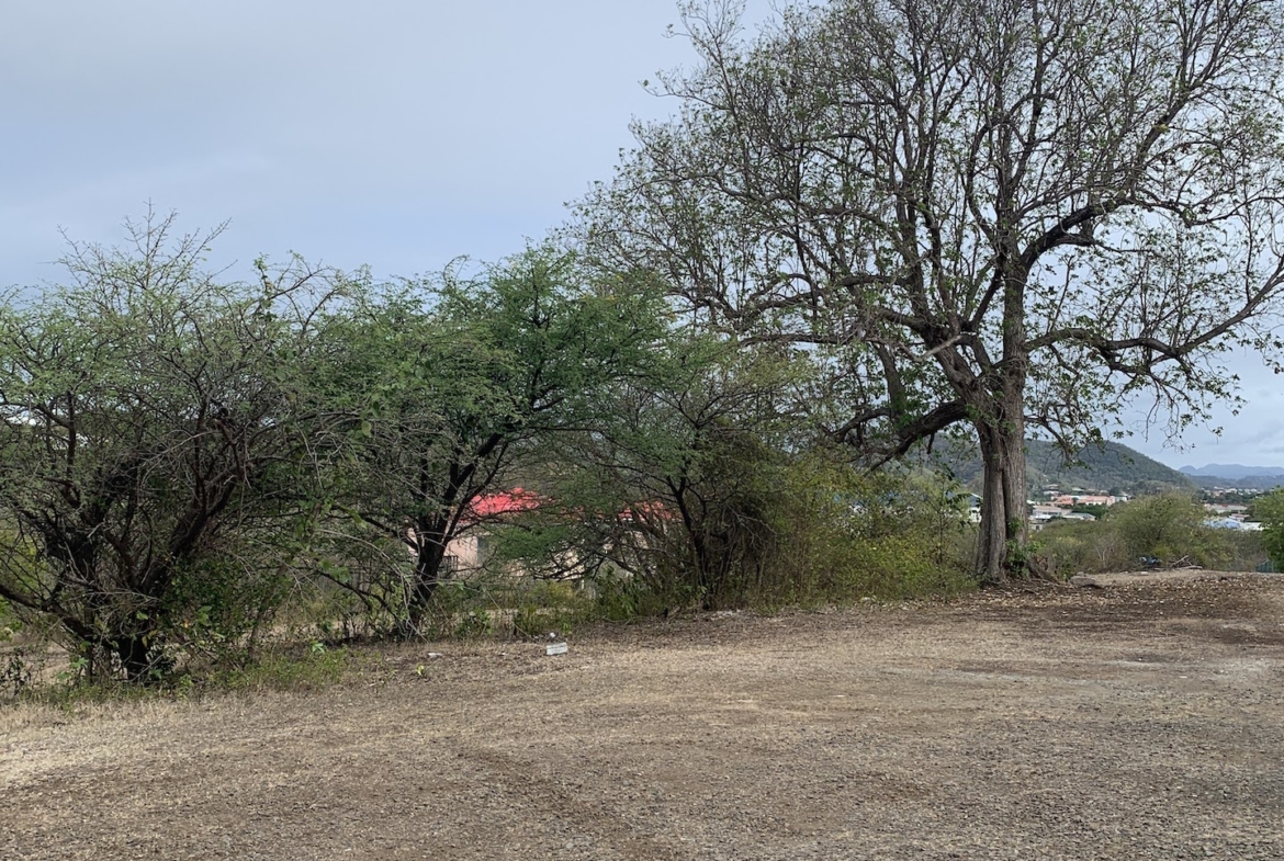 Land for Sale in Bellvue